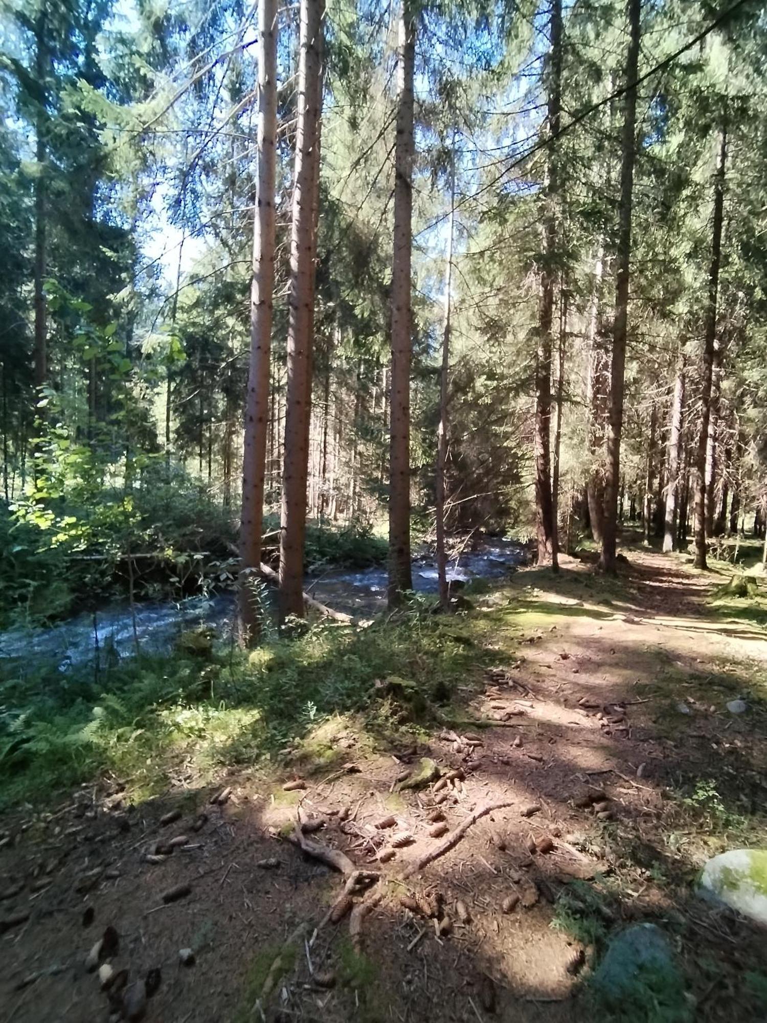 Penzion Real Žiar Exterior foto